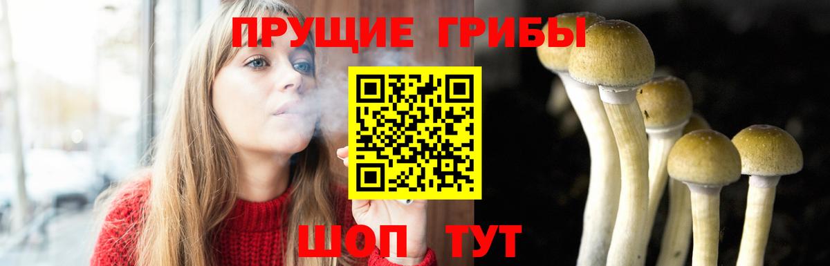 Галлюциногенные грибы мицелий  Вход с VPN  Псилоцибиновые грибы Magic Shrooms  Алапаевск 